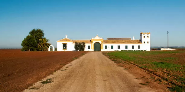 Imagen de tipo de propiedad Cortijo
