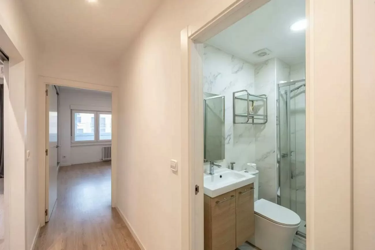 Imagen de Calle de Francisco Silvela, Barrio de Salamanca, Madrid capital (Ref.2132)