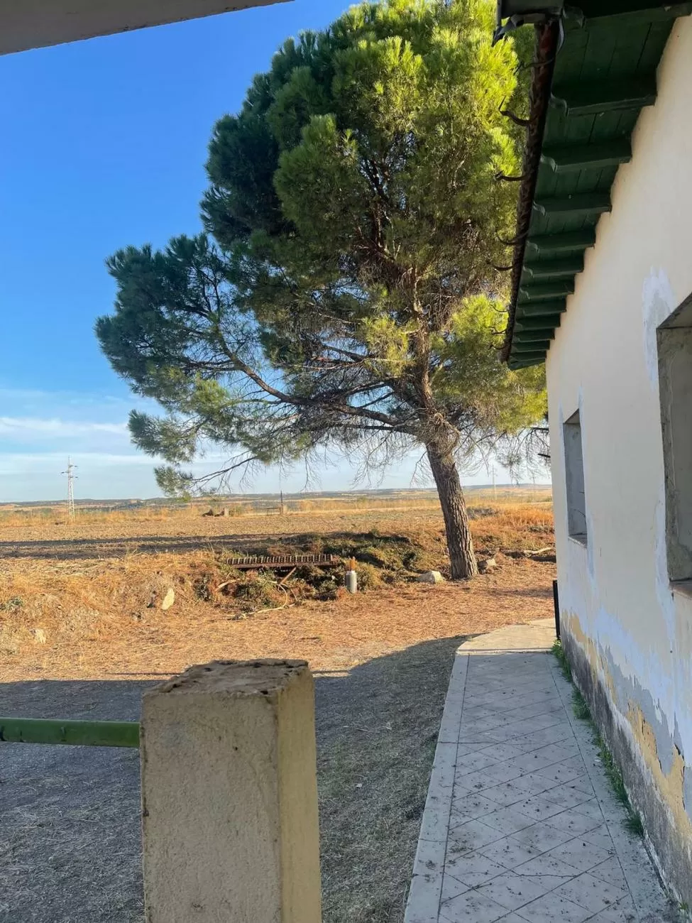 Imagen de Calle CL DISEMINADO, property->address->location->zones->zones->LEVEL7->name, La Sagra (Ref.) Imagen de Calle CL DISEMINADO, property->address->location->zones->zones->LEVEL7->name, La Sagra (Ref.)