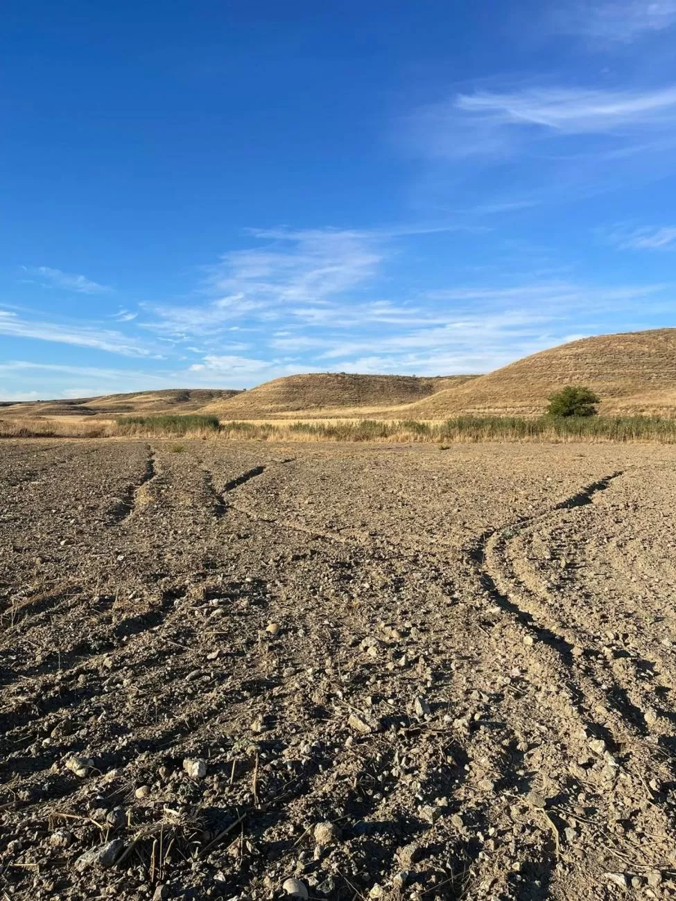 Imagen de Calle CL DISEMINADO, property->address->location->zones->zones->LEVEL7->name, La Sagra (Ref.) Imagen de Calle CL DISEMINADO, property->address->location->zones->zones->LEVEL7->name, La Sagra (Ref.)