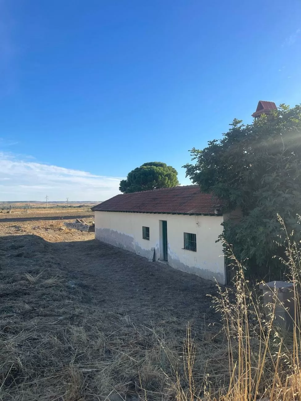 Imagen de Calle CL DISEMINADO, property->address->location->zones->zones->LEVEL7->name, La Sagra (Ref.) Imagen de Calle CL DISEMINADO, property->address->location->zones->zones->LEVEL7->name, La Sagra (Ref.)