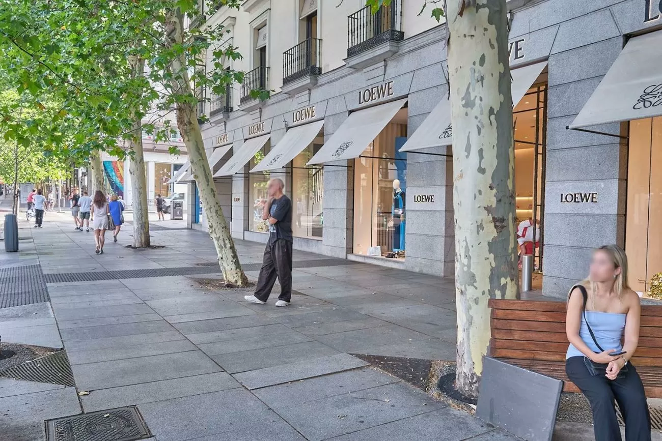 Imagen de Calle de Lagasca, Barrio de Salamanca, Madrid capital (Ref.1767B)