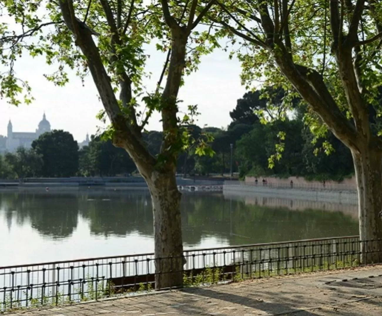 Imagen de [shop_product:nombre]