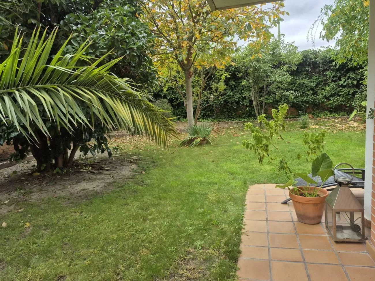 Imagen de Calle Zurbarán, Zona Prado de Somosaguas - La Finca, Zona noroeste (Ref.) Imagen de Calle Zurbarán, Zona Prado de Somosaguas - La Finca, Zona noroeste (Ref.)