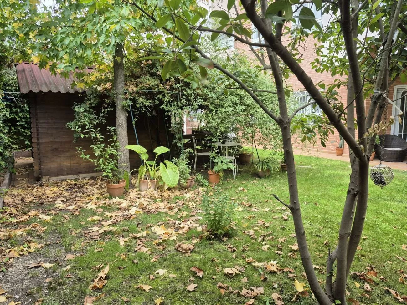 Imagen de Calle Zurbarán, Zona Prado de Somosaguas - La Finca, Zona noroeste (Ref.) Imagen de Calle Zurbarán, Zona Prado de Somosaguas - La Finca, Zona noroeste (Ref.)