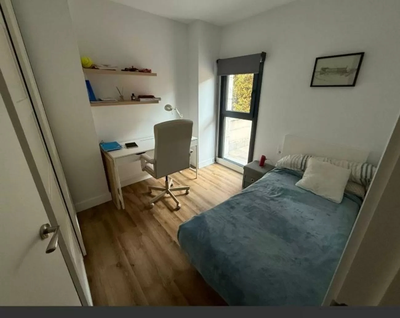 Imagen de Paseo de La Habana, Chamartín, Madrid capital (Ref.2016) Imagen de Paseo de La Habana, Chamartín, Madrid capital (Ref.2016)