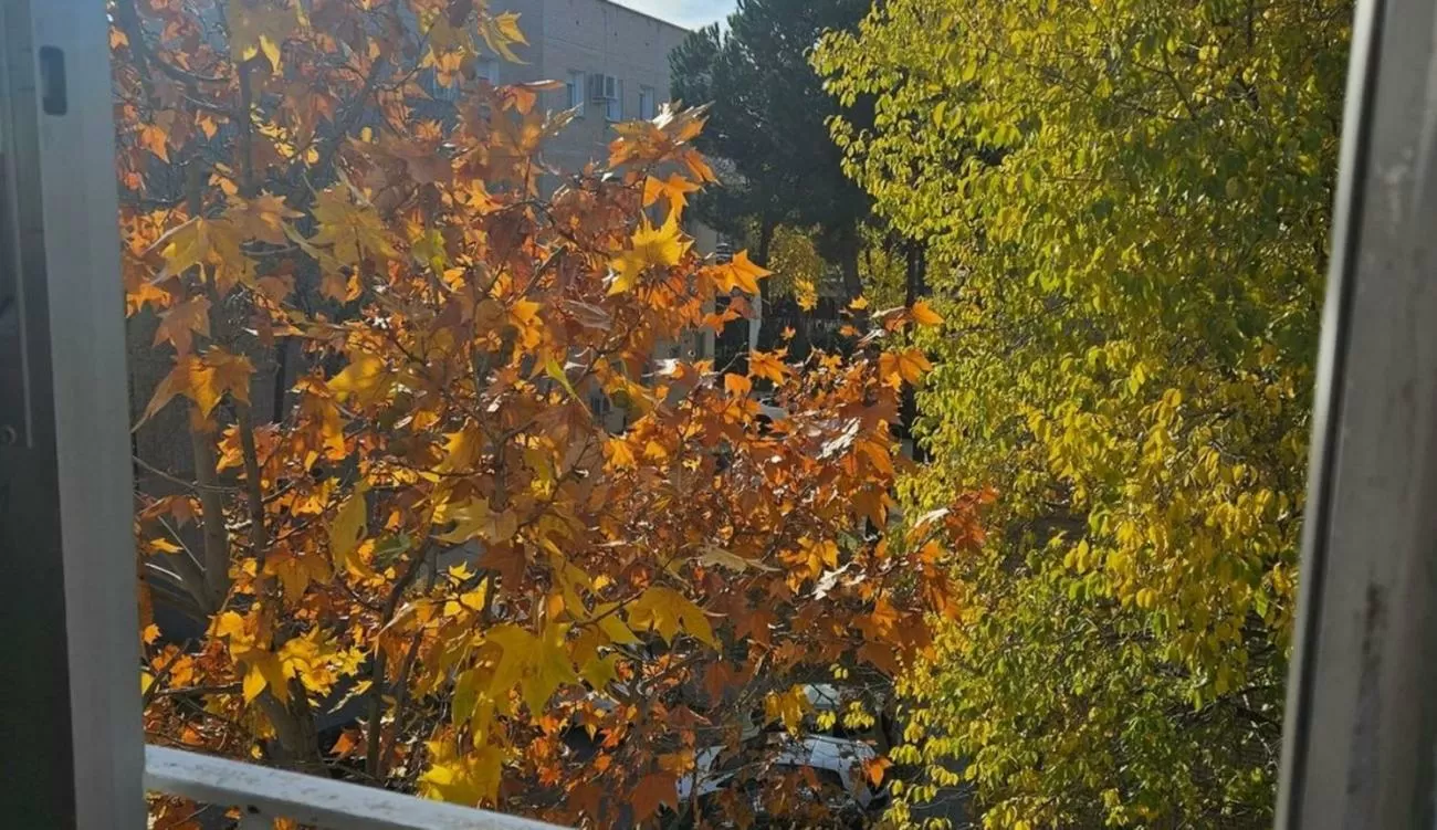 Imagen de Calle de Vélez Rubio, Hortaleza, Madrid capital (Ref.)