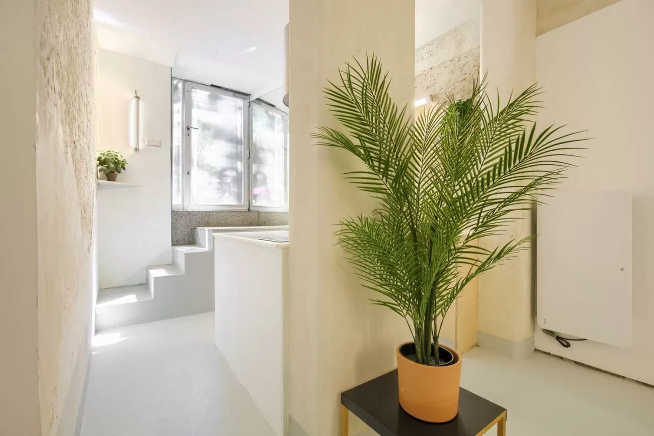 Imagen principal de la propiedad