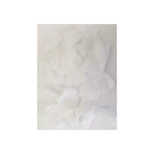 100 Pétalos Color Blanco