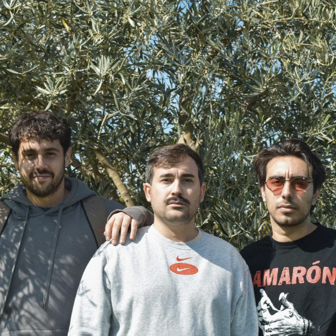 Imagen de Santana Motor