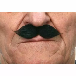 BIGOTE NEGRO TALLA ÚNICA