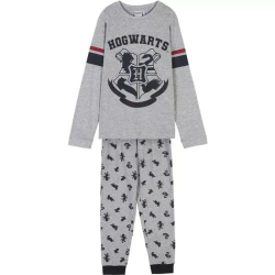 PIJAMA LARGO SINGLE JERSEY HARRY POTTER GRAY