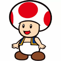 COJIN 3D TOAD SUPER MARIO BROS