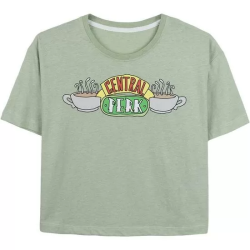 CAMISETA CORTA SINGLE JERSEY PUNTO FRIENDS LIGHT GREEN