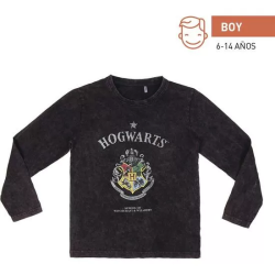 CAMISETA LARGA SINGLE JERSEY HARRY POTTER DARK GRAY