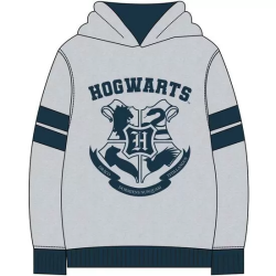 SUDADERA CON CAPUCHA COTTON BRUSHED HARRY POTTER GRAY