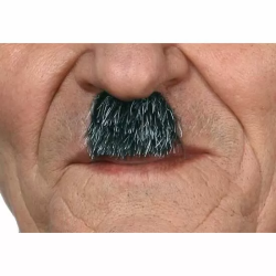 BIGOTE TALLA ÚNICA