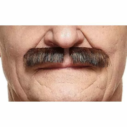 BIGOTE TALLA ÚNICA