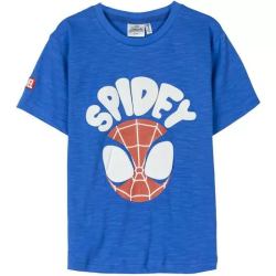 CAMISETA CORTA SINGLE JERSEY SPIDEY