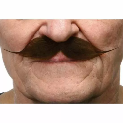 BIGOTE ADULTO TALLA ÚNICA