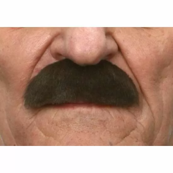 BIGOTE ADULTO TALLA ÚNICA