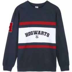 SUDADERA COTTON BRUSHED HARRY POTTER DARK BLUE