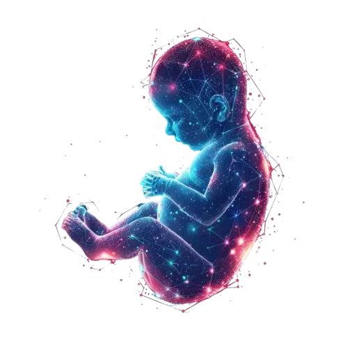 Recién nacido digital