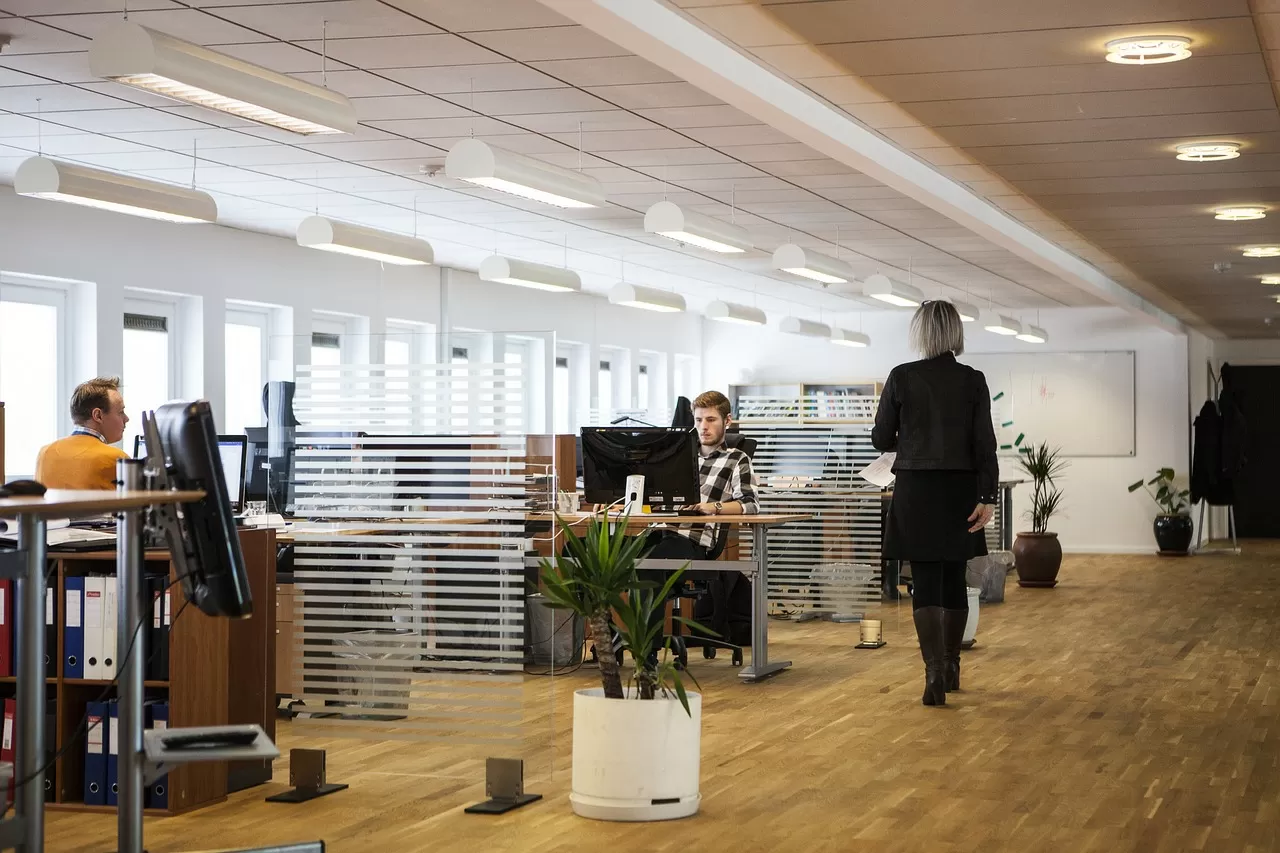 Guía para saber cómo disolver una empresa en España