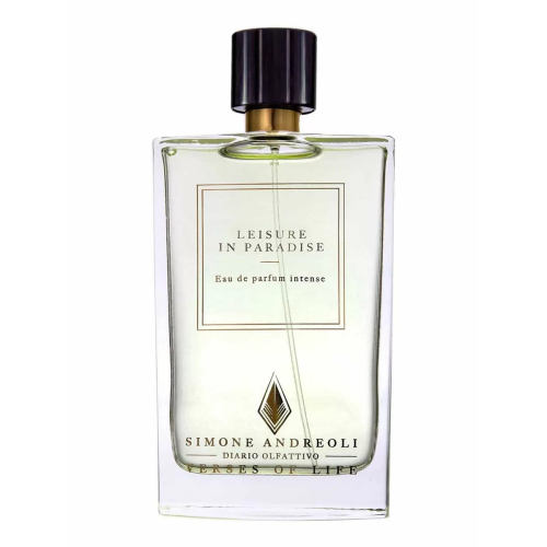 SIMONE ANDREOLI PACIFIC PARK EAU DE PARFUM INTENSE 100ML VAPORIZADOR