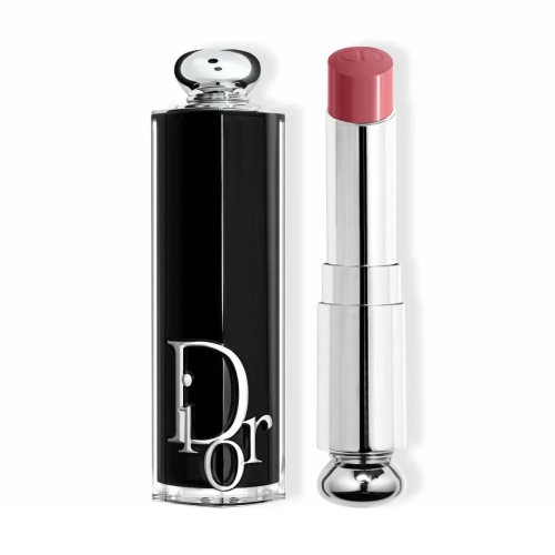 DIOR ADDICT BARRA DE LABIOS 566 1UN
