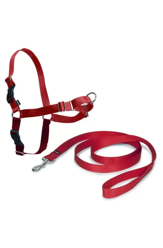 ARNES EASY WALK GRANDE. ROJO