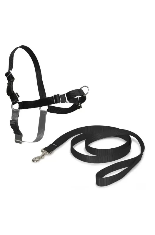 ARNES EASY WALK GRANDE. NEGRO