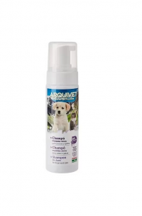 CHAMPU ESPUMA SECA 200ml.Arquifresh