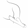 Imagen de producto Imagen de producto