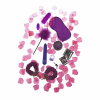 Imagen de producto Imagen de producto