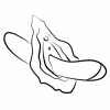 Imagen de producto Imagen de producto