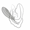 Imagen de producto Imagen de producto