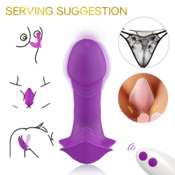 Imagen de WHISTLE VIBRADOR INTRODUCIBLE CONTROL REMOTO VIOLETA