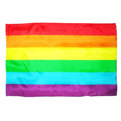 Imagen de PRIDE - BANDERA MEDIANA LGBT