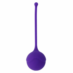 Imagen de INTENSE KISHA FIT ONE SILICONE KEGEL LILA