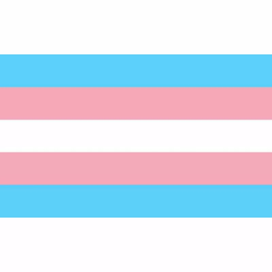 Imagen de BANDERA 90 X 150 TRANSEXUAL