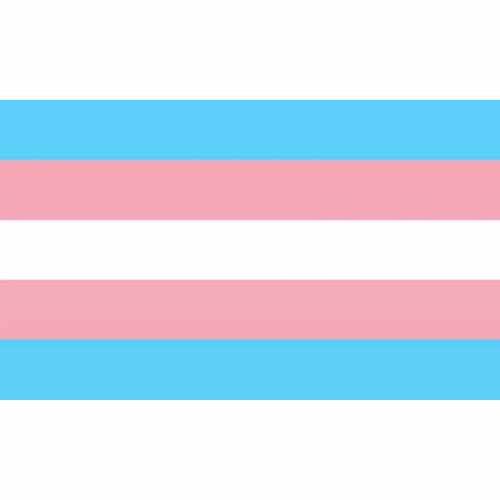 BANDERA 90 X 150 TRANSEXUAL