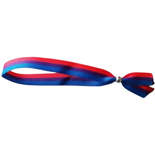 PULSERA BISEXUAL